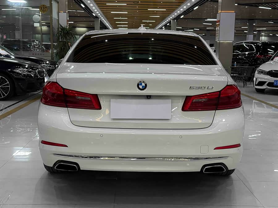 BMW 5 Series 2019