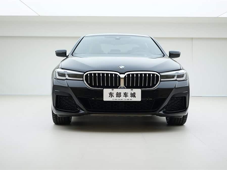 BMW 5 Series 2021