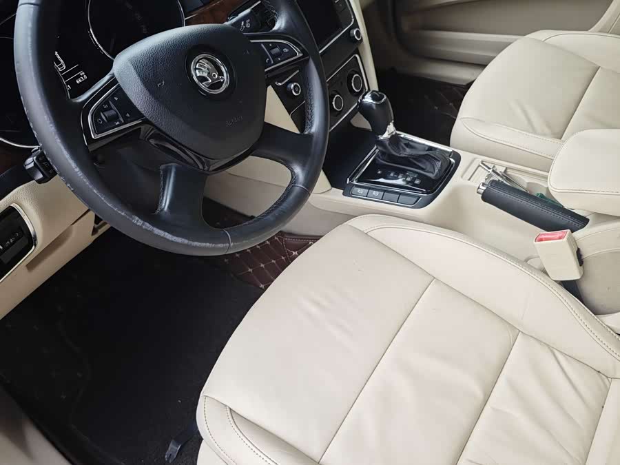 Skoda Speedy 2013