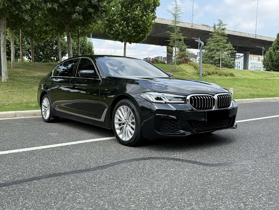 BMW 5 Series 2019