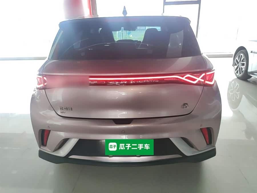 BYD Dolphin 2021
