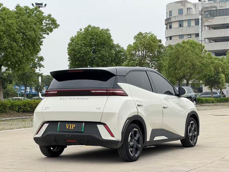 BYD Seagull 2024