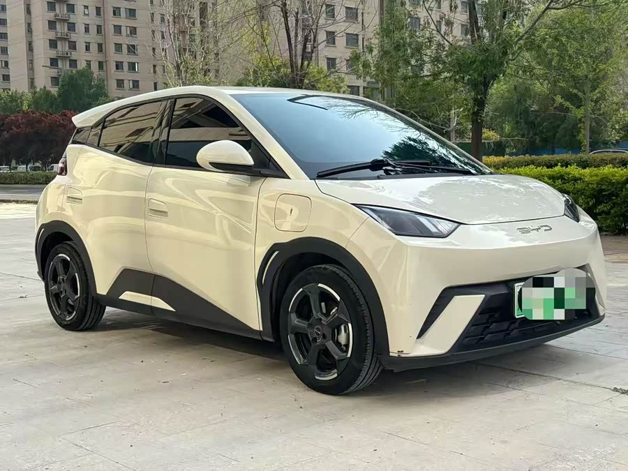 BYD Seagull 2024