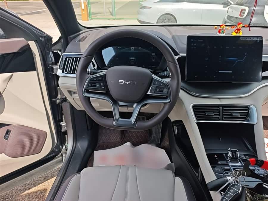 BYD Song PLUS New Energy 2025 — фото 11
