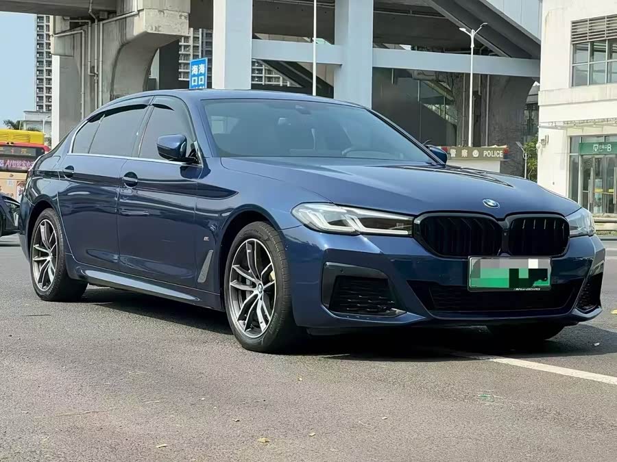 BMW 5 Series New Energy 2021