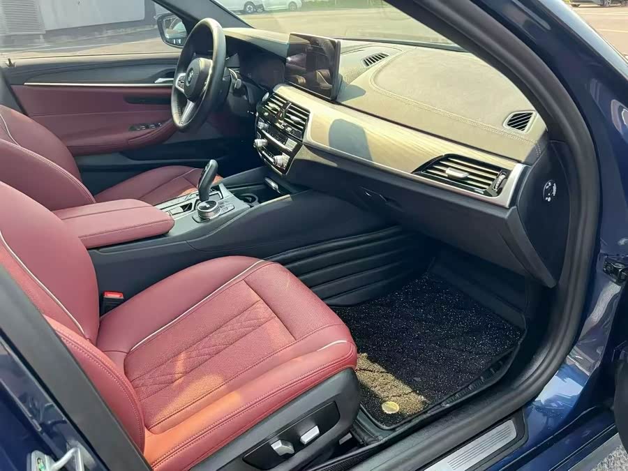 BMW 5 Series New Energy 2021