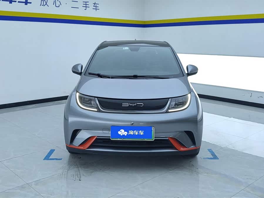 BYD Dolphin 2021
