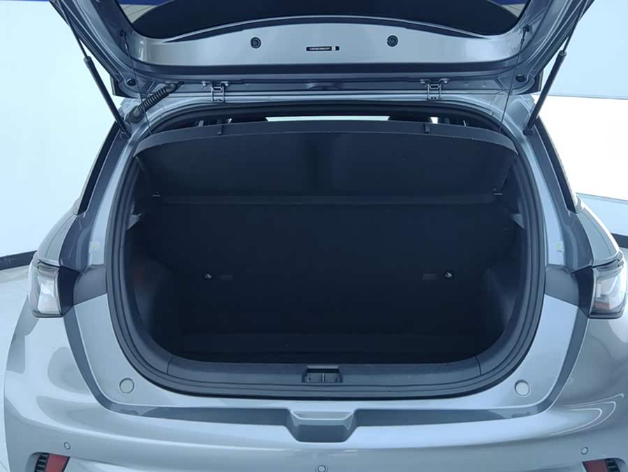 BYD Dolphin 2021