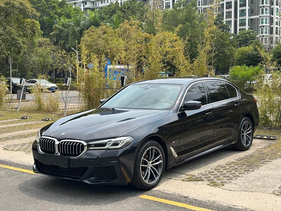 BMW 5 Series 2021