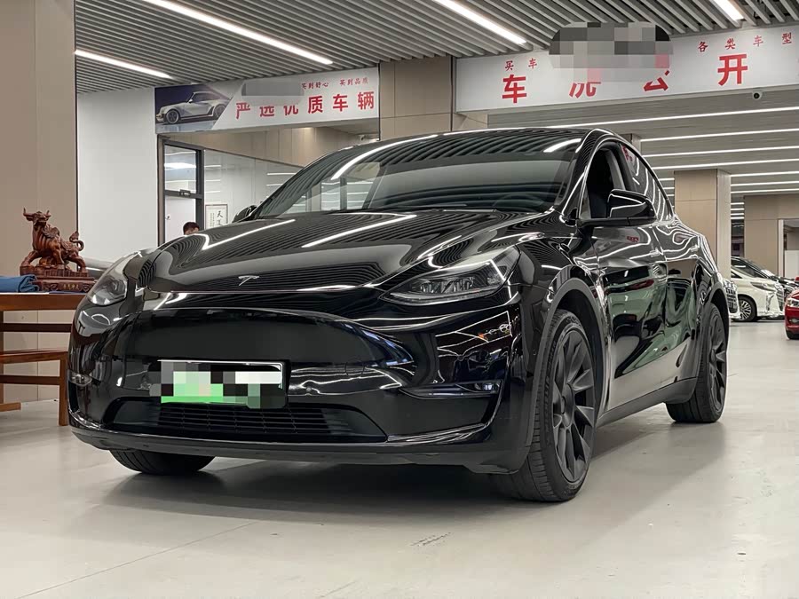 Tesla Model Y 2021