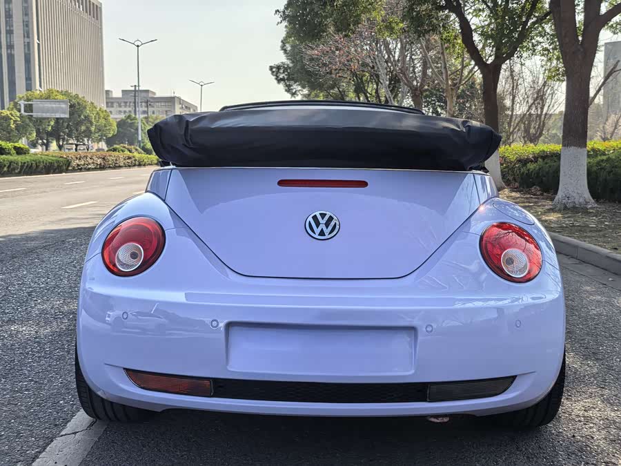 Volkswagen Beetle 2010