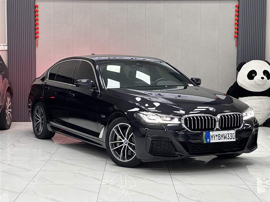 BMW 5 Series New Energy 2022