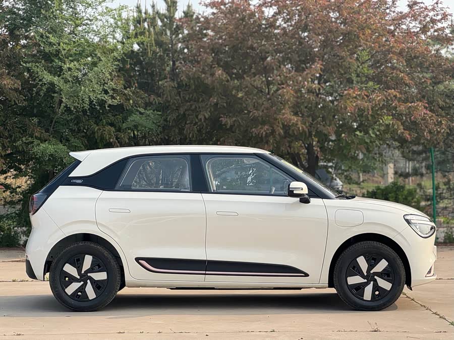 Dongfeng Nano 01 2026