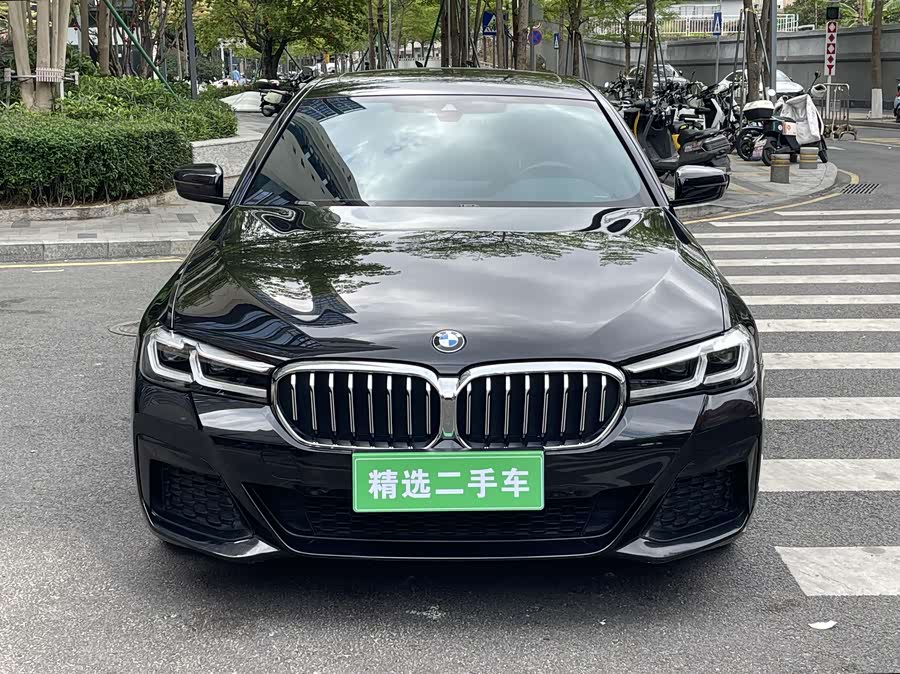 BMW 5 Series New Energy 2021