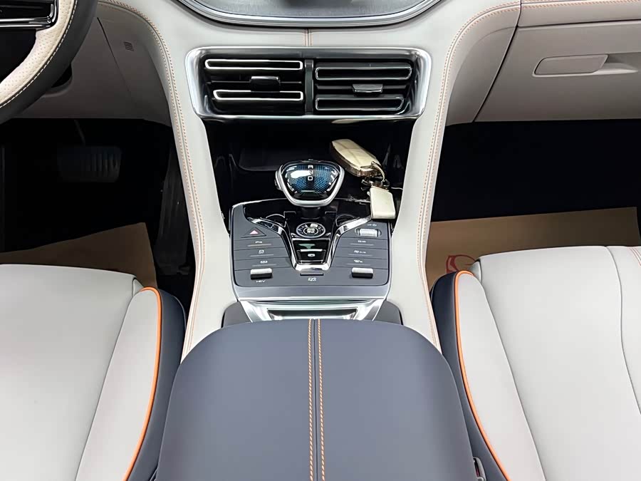 BYD Song PLUS New Energy 2021 — фото 23