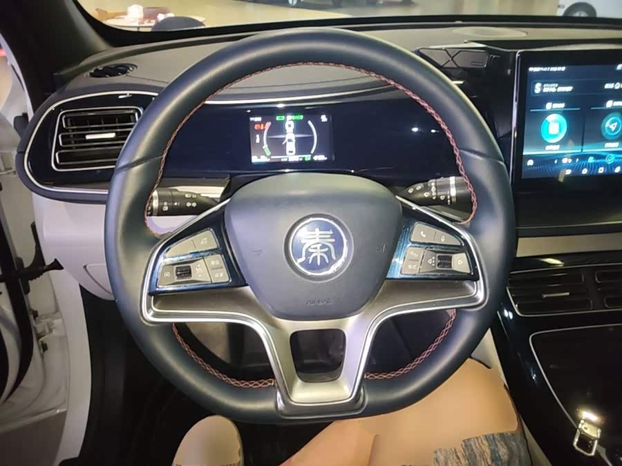 BYD Qin PLUS 2021 — фото 11