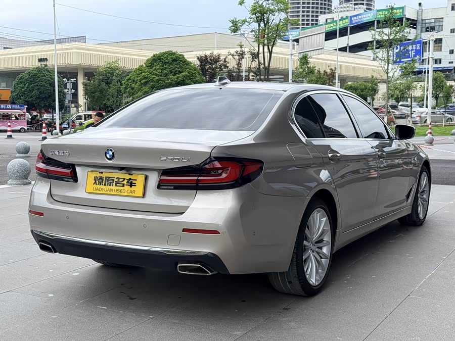 BMW 5 Series 2021