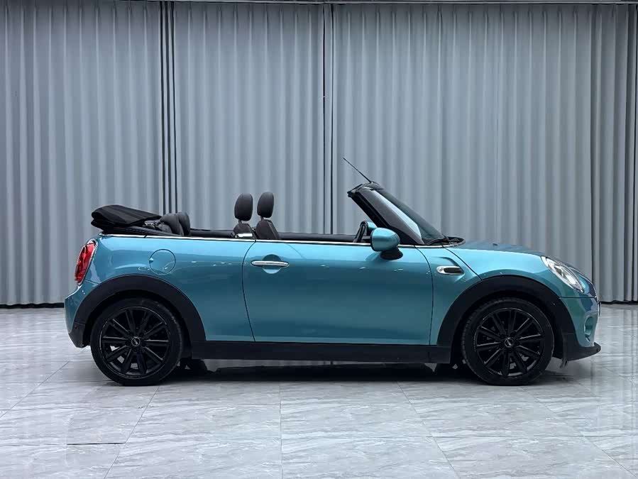 MINI MINI 2017