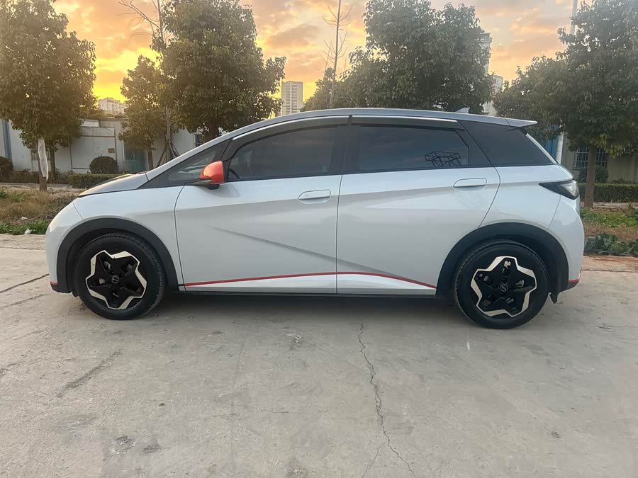 BYD Dolphin 2021