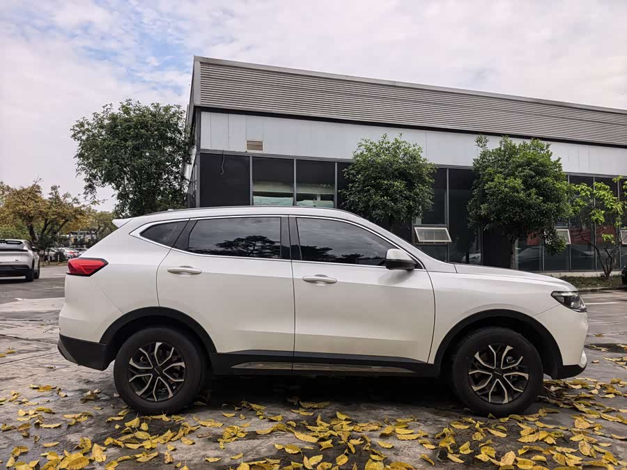 Haval H6 2021