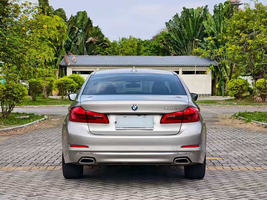 BMW 5 Series 2019