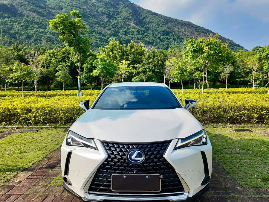Lexus UX 2019 — фото 8