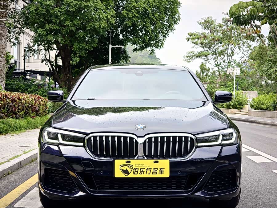 BMW 5 Series 2021