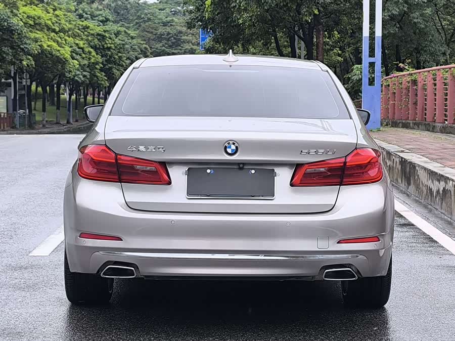 BMW 5 Series 2019