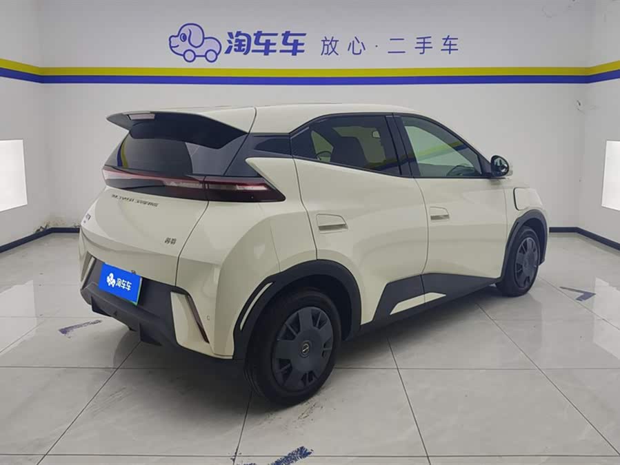 BYD Seagull 2024