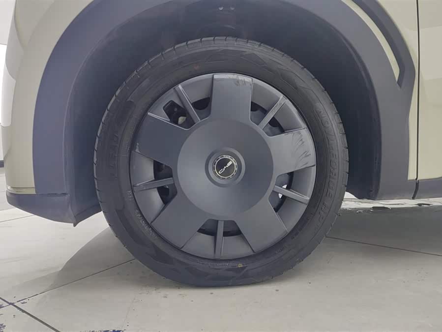 BYD Seagull 2024