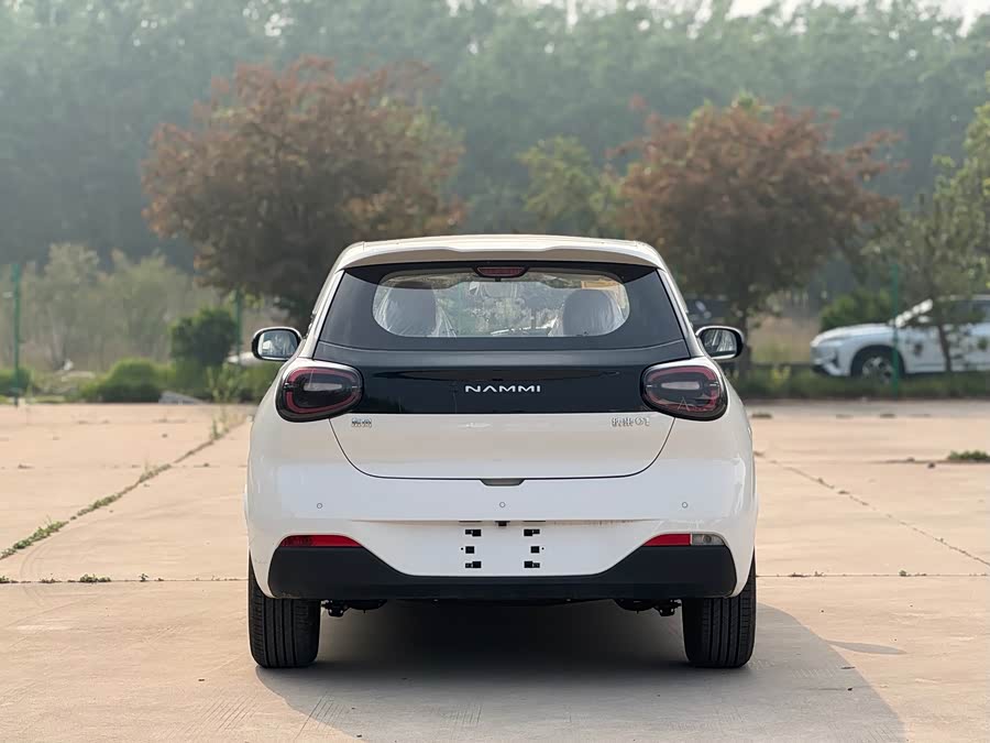 Dongfeng Nano 01 2026
