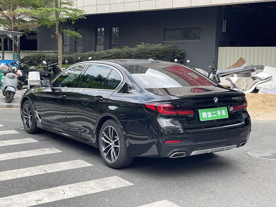 BMW 5 Series New Energy 2021