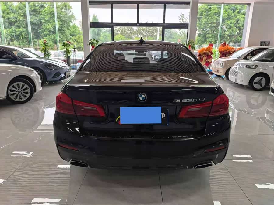 BMW 5 Series 2019