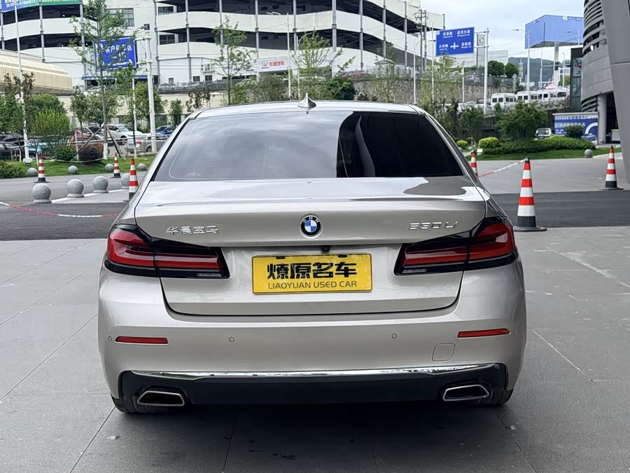 BMW 5 Series 2021