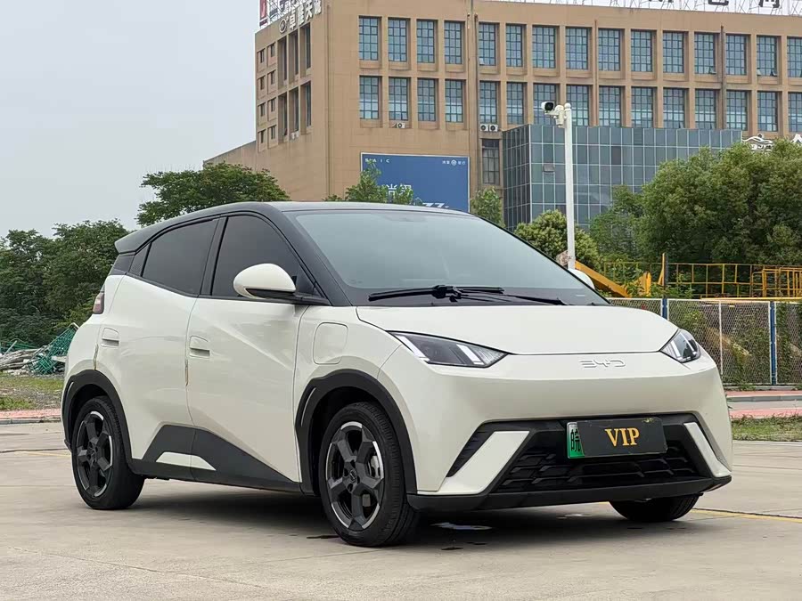 BYD Seagull 2024