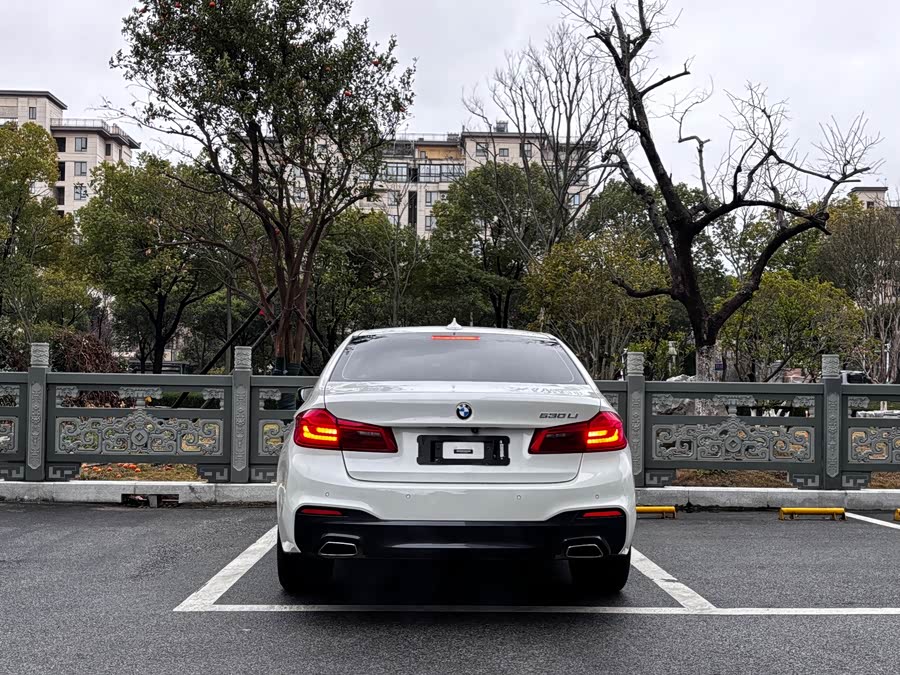 BMW 5 Series 2020