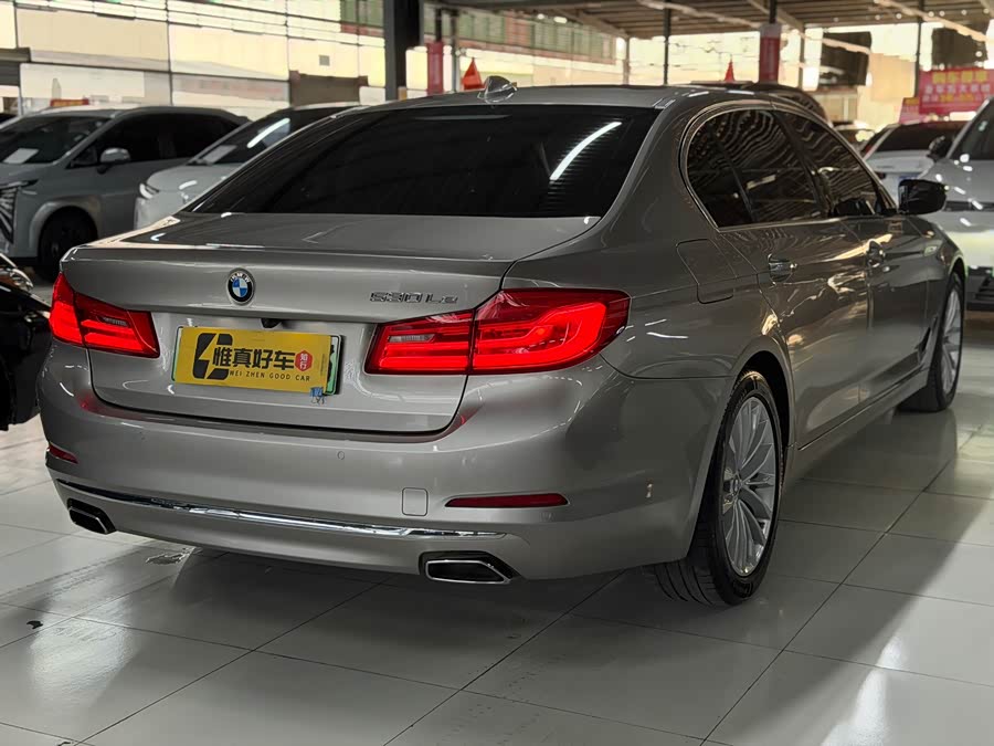 BMW 5 Series New Energy 2020 — фото 21