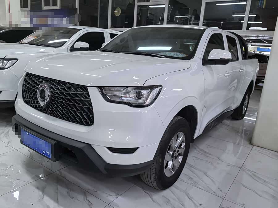 Great Wall Poer 2021