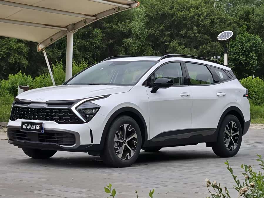 Kia Lion Platinum Expands The Boundary 2025