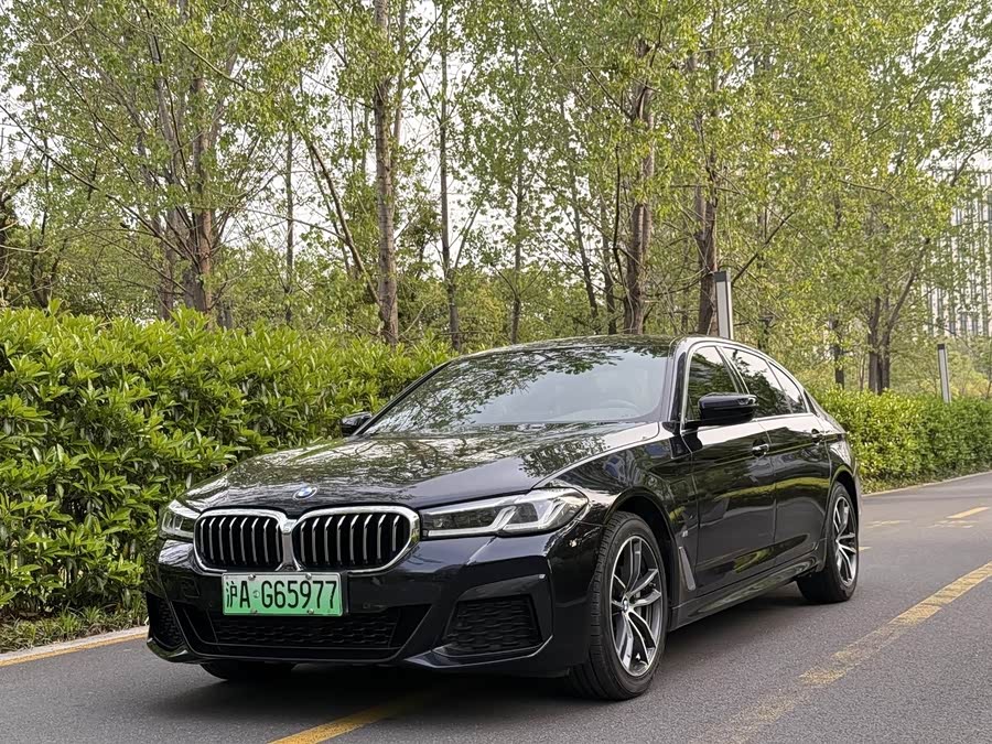 BMW 5 Series New Energy 2021