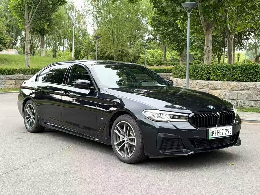 BMW 5 Series New Energy 2021