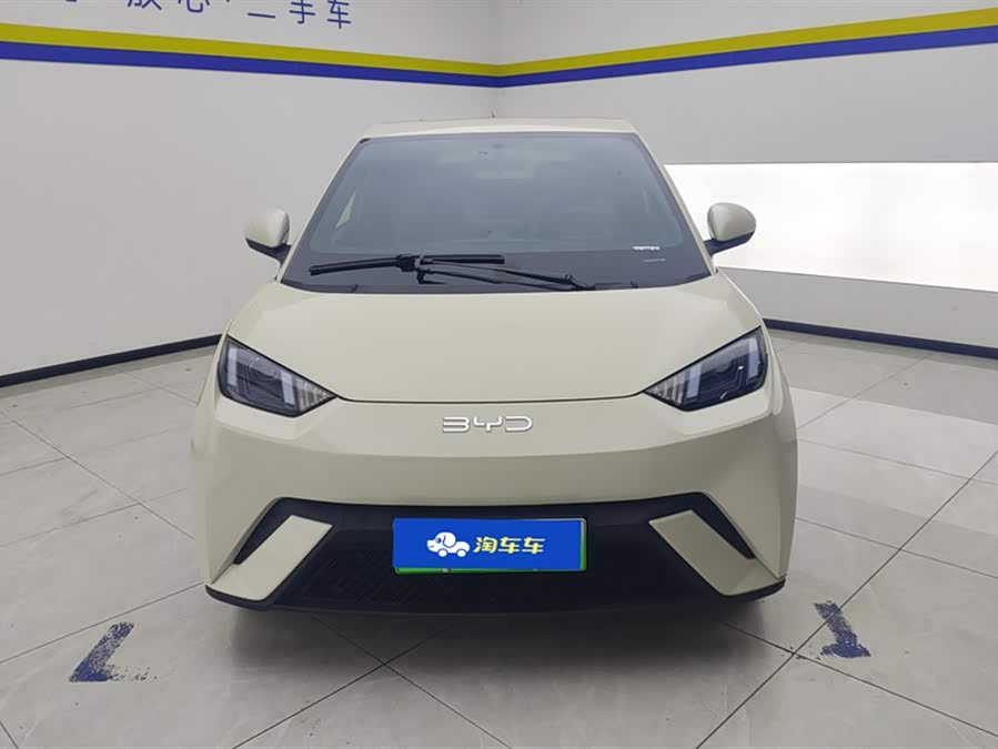 BYD Seagull 2024