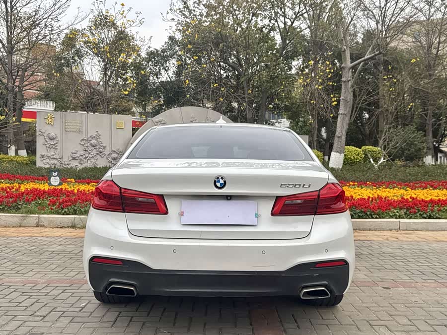 BMW 5 Series 2018 — фото 8
