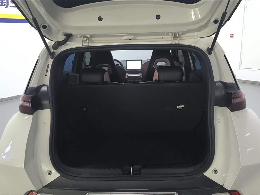 BYD Seagull 2023