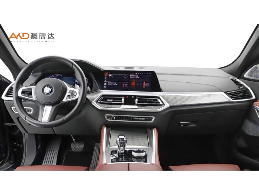 BMW X6 2021