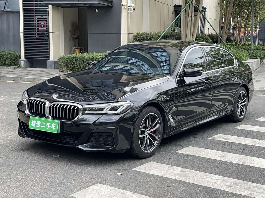 BMW 5 Series New Energy 2021