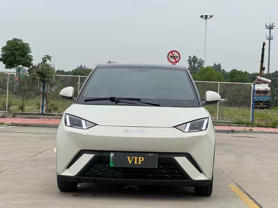 BYD Seagull 2024