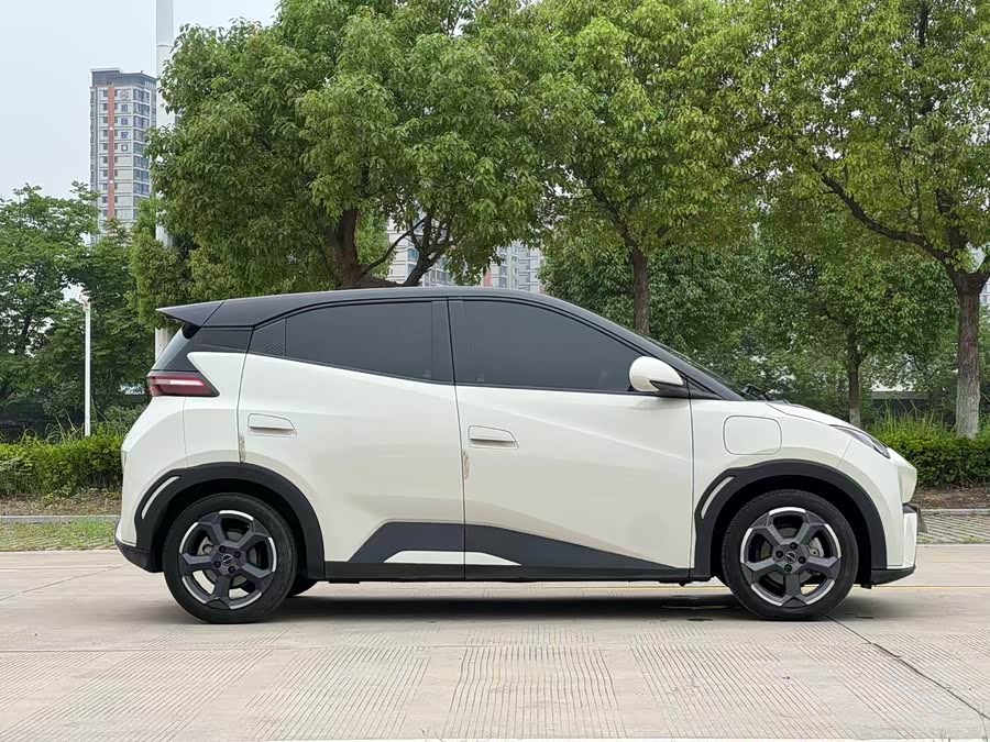 BYD Seagull 2024