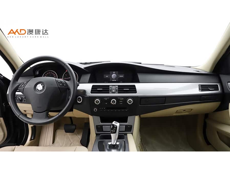 BMW 5 Series 2009