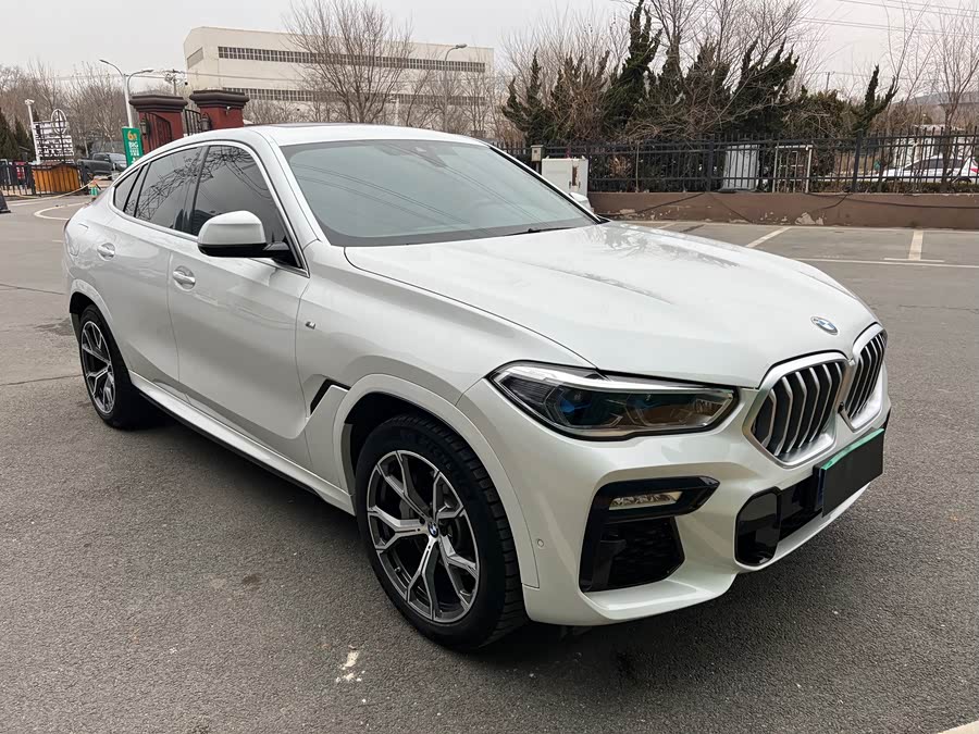 BMW X6 2021